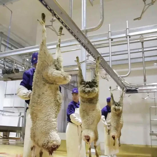 Schafkadaver-Verarbeitungsausrüstung Automatische Förderschiene für Ziegenschlachthoflinie